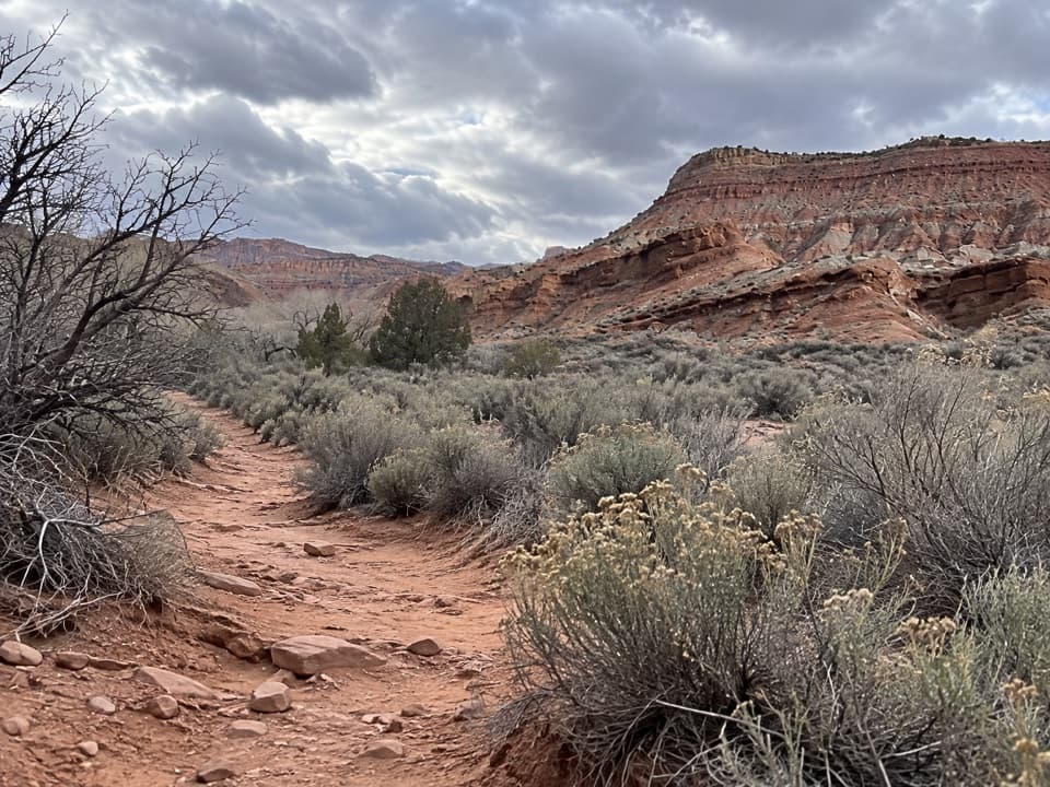 Coalpits Wash Trail in Zion National Park