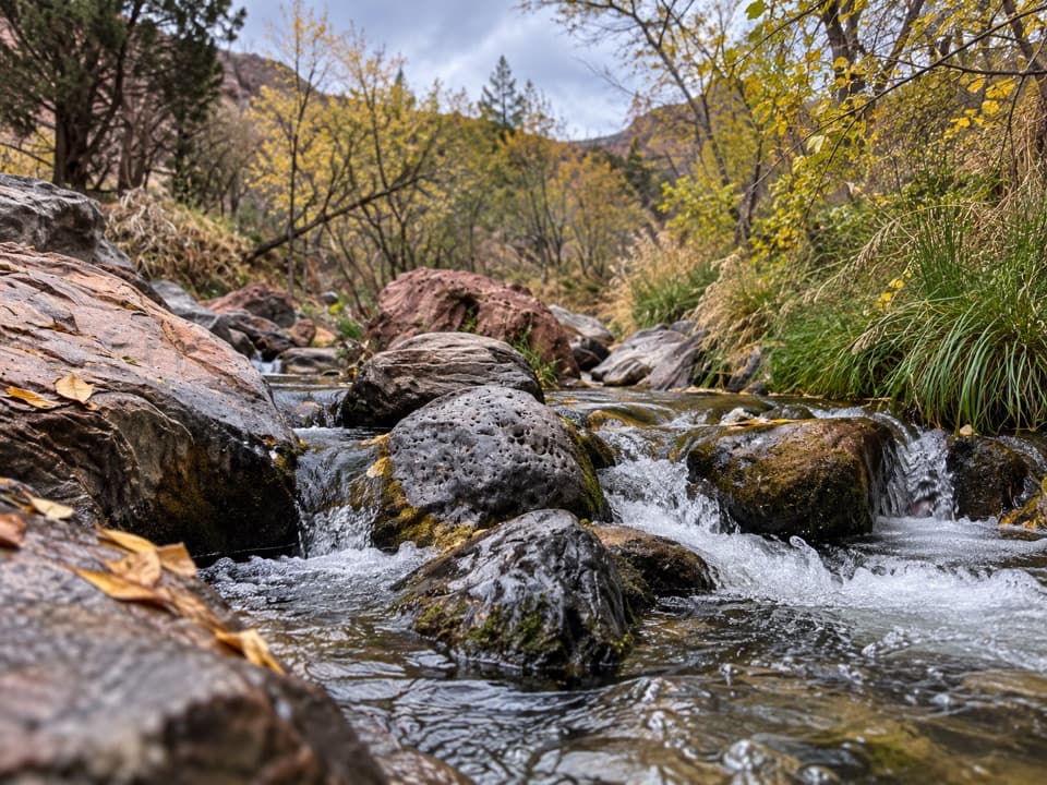 Grapevine Trail in Zion National Park