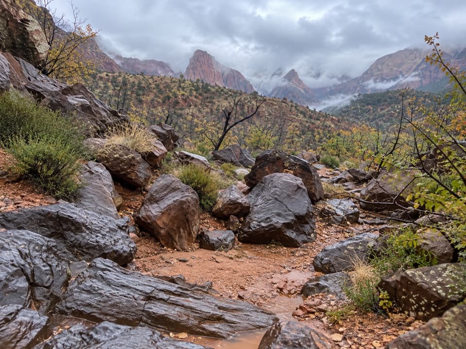 Crater Hill to Coalpits Wash in Zion National Park
