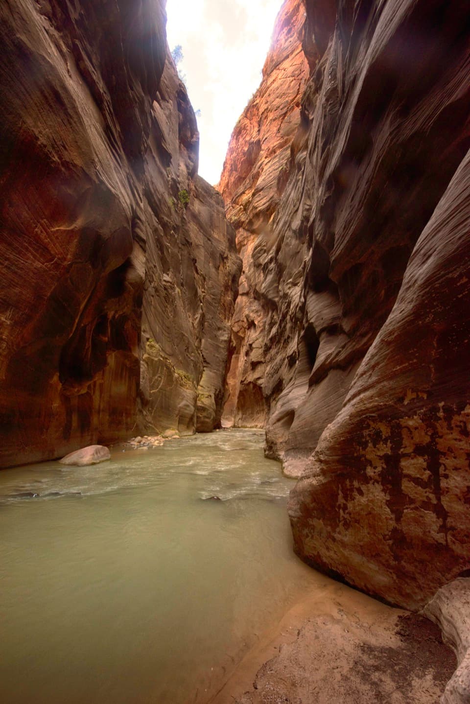 Virgin River Narrows (Top-Down) in Zion National Park