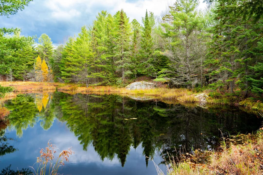 Algonquin Provincial Park