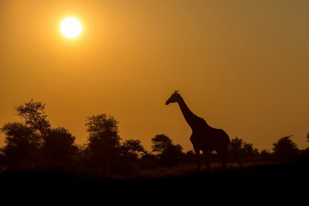 Kruger National Park