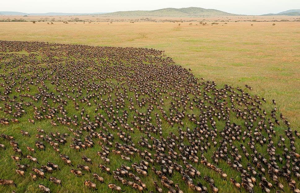 Serengeti National Park