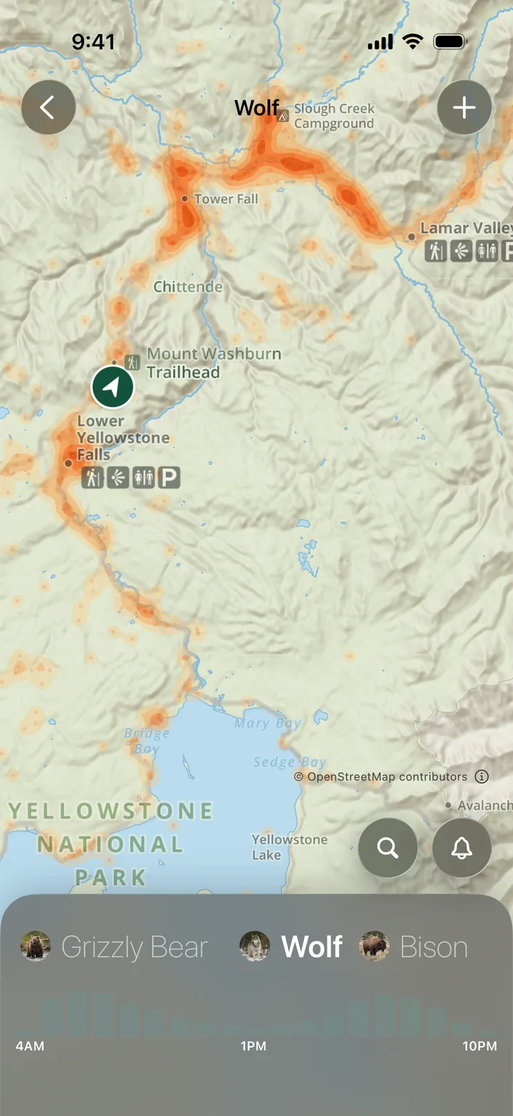Wolf sightings in Yellowstone on Parkwolf’s Find Wildlife map, brightest around Lamar Valley
