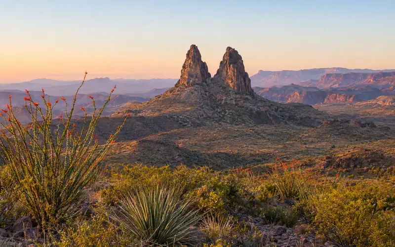 The twin Mule Ears spires above the Chihuahuan Desert at sunrise, with a blooming ocotillo in front