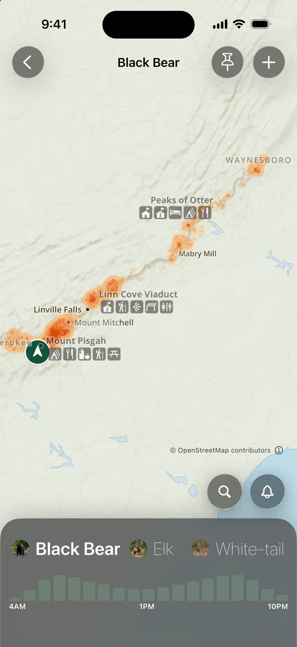 Black bear sighting heatmap along the Blue Ridge Parkway from Mount Pisgah to Peaks of Otter, with an hourly activity chart