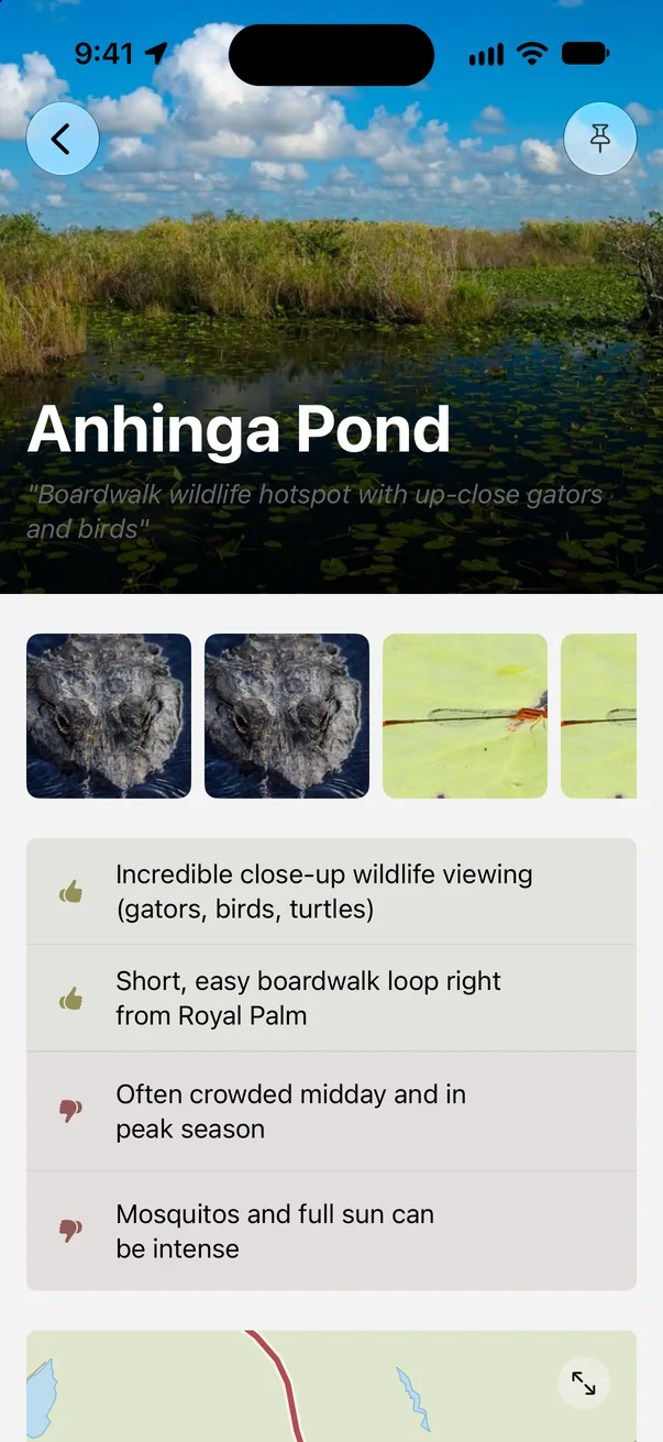 Anhinga Pond in Parkwolf with pros and cons, including close-up gators and birds, midday crowds and mosquitos