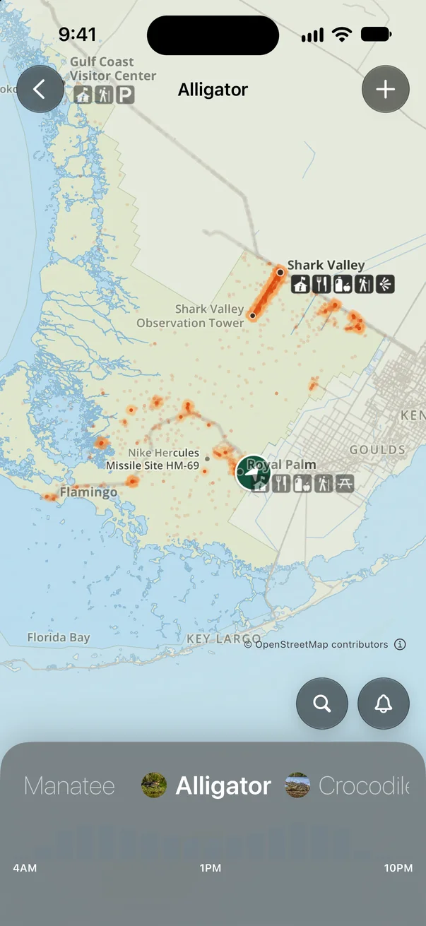 Alligator sighting heatmap across Everglades National Park with an hourly activity chart
