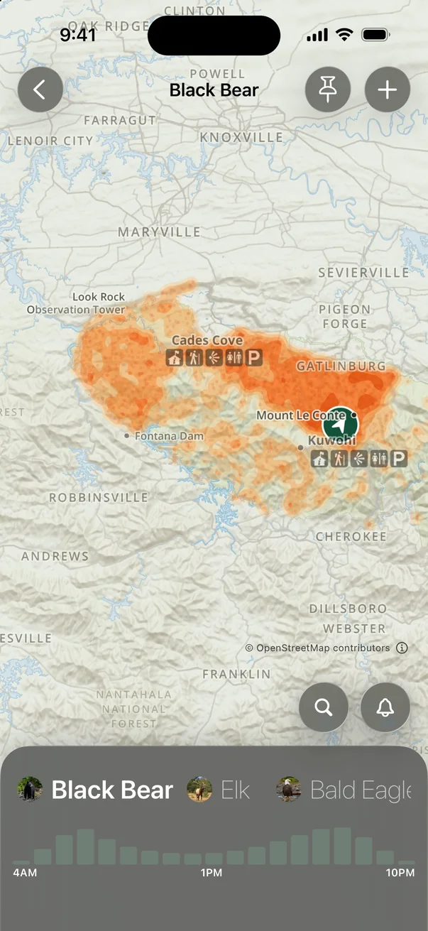 Black bear sighting heatmap across Great Smoky Mountains National Park with an hourly activity chart