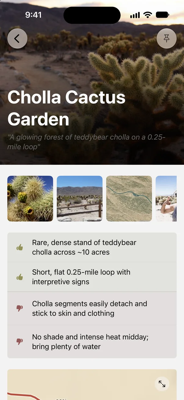 Cholla Cactus Garden in Parkwolf with pros and cons, including segments that stick to skin and no shade at midday