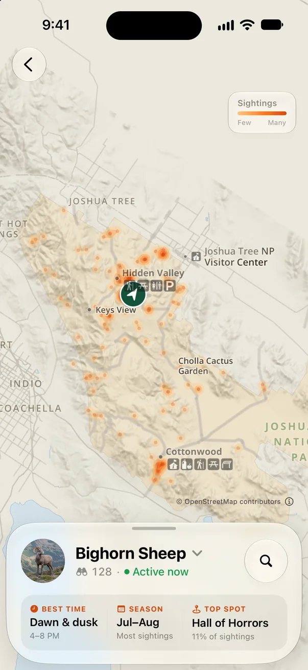 Bighorn sheep sighting heatmap across Joshua Tree National Park, best at dawn and dusk, with Hall of Horrors as the top spot