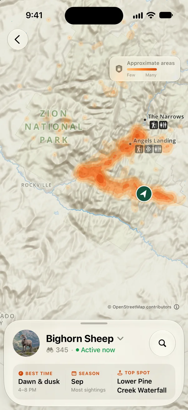 Bighorn sheep sighting heatmap across Zion National Park, with the best time, season and top spot