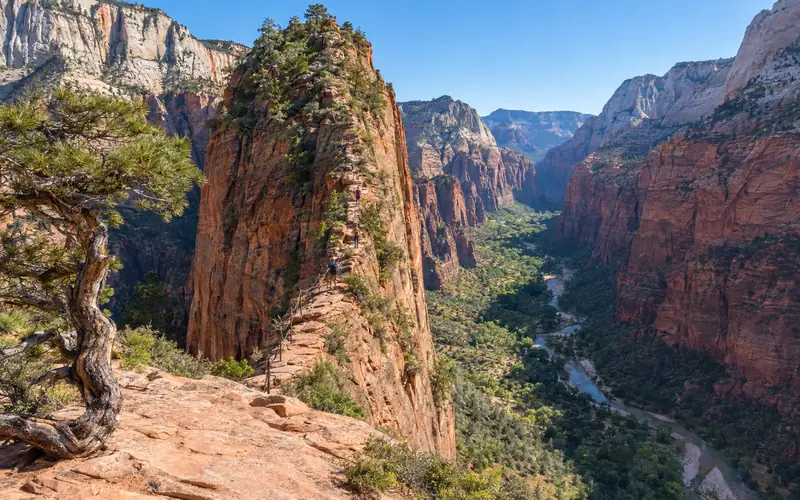 Hikers on the chained ridge of Angels Landing seen from Scout Lookout, with the Virgin River far below