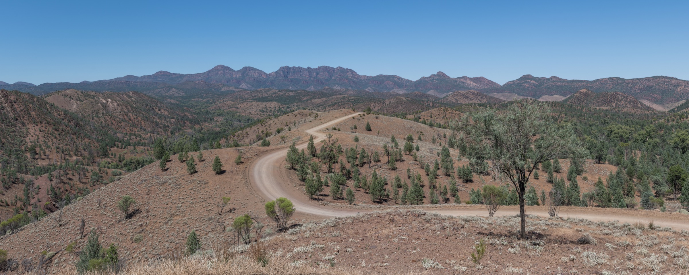 Ikara-Flinders Ranges National Park