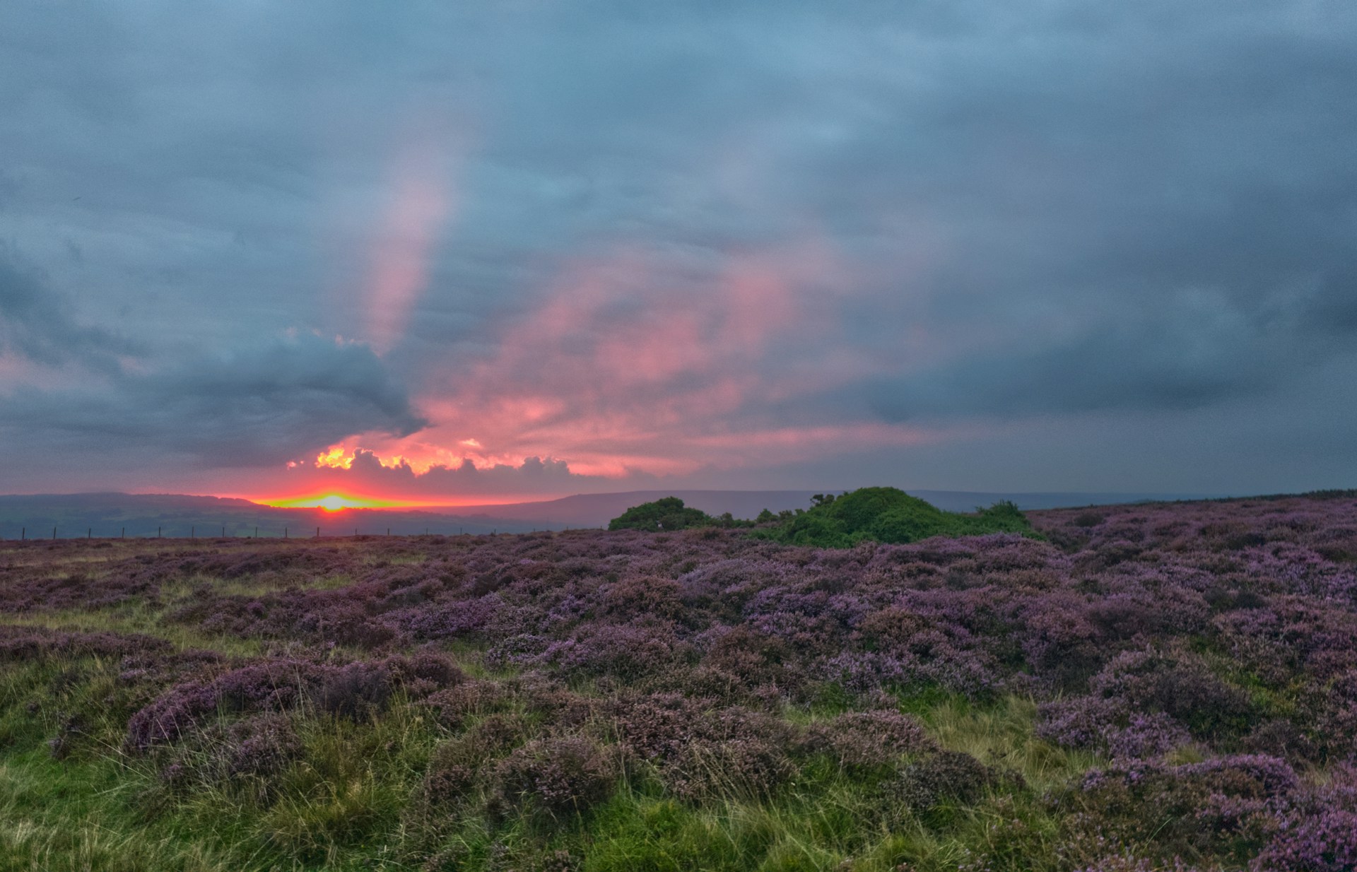 North York Moors National Park in North York Moors National Park