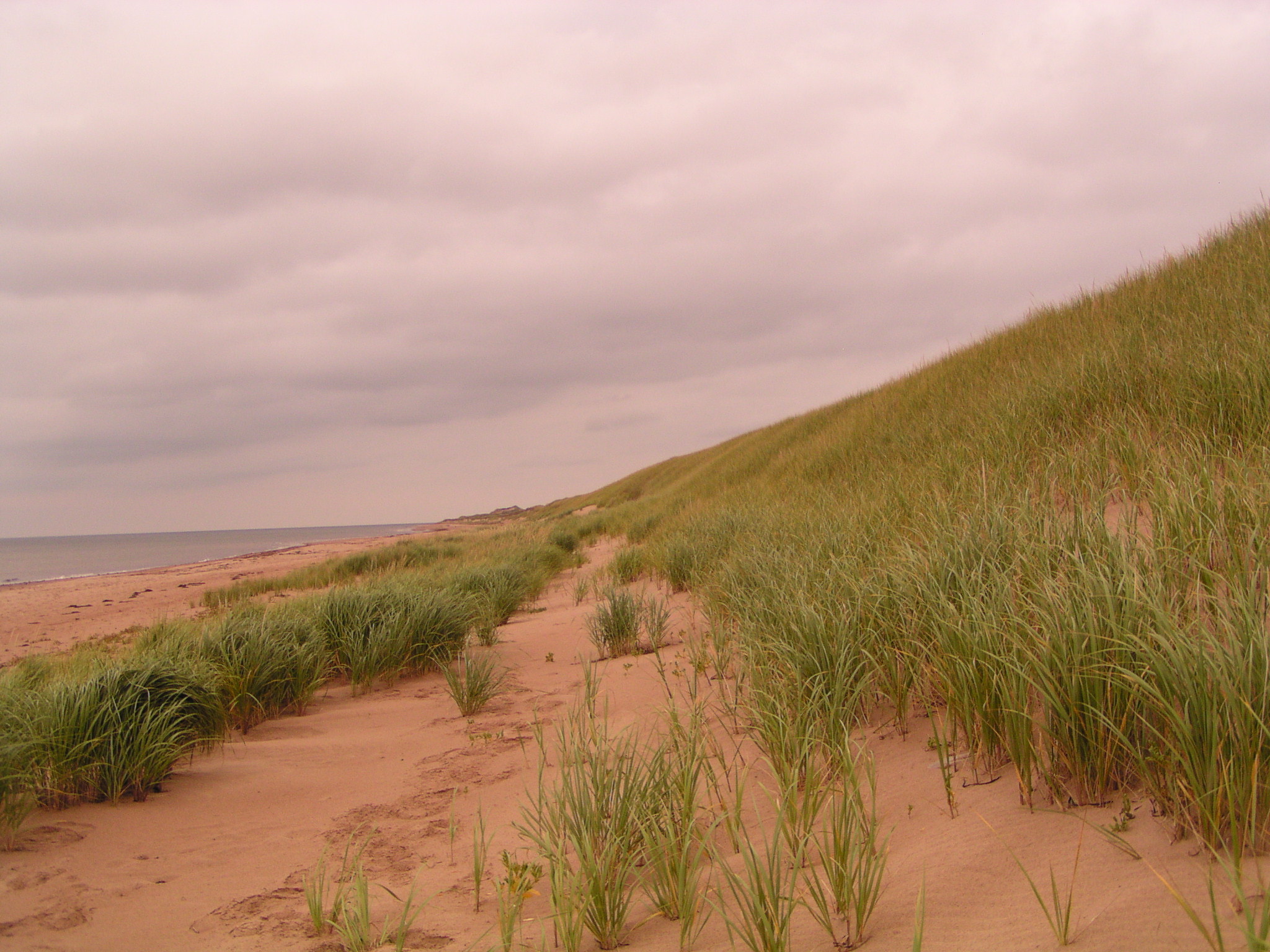Prince Edward Island National Park in Prince Edward Island National Park