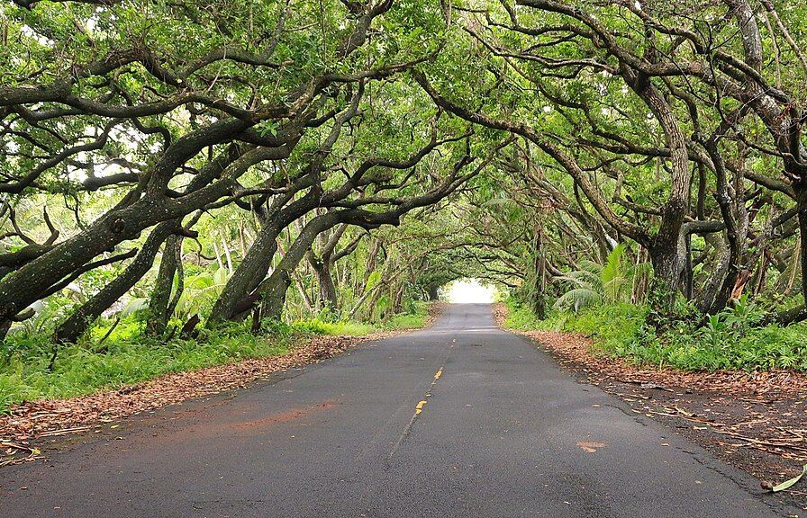 Red Road (Kapoho–Kalapana Road), Hawaii