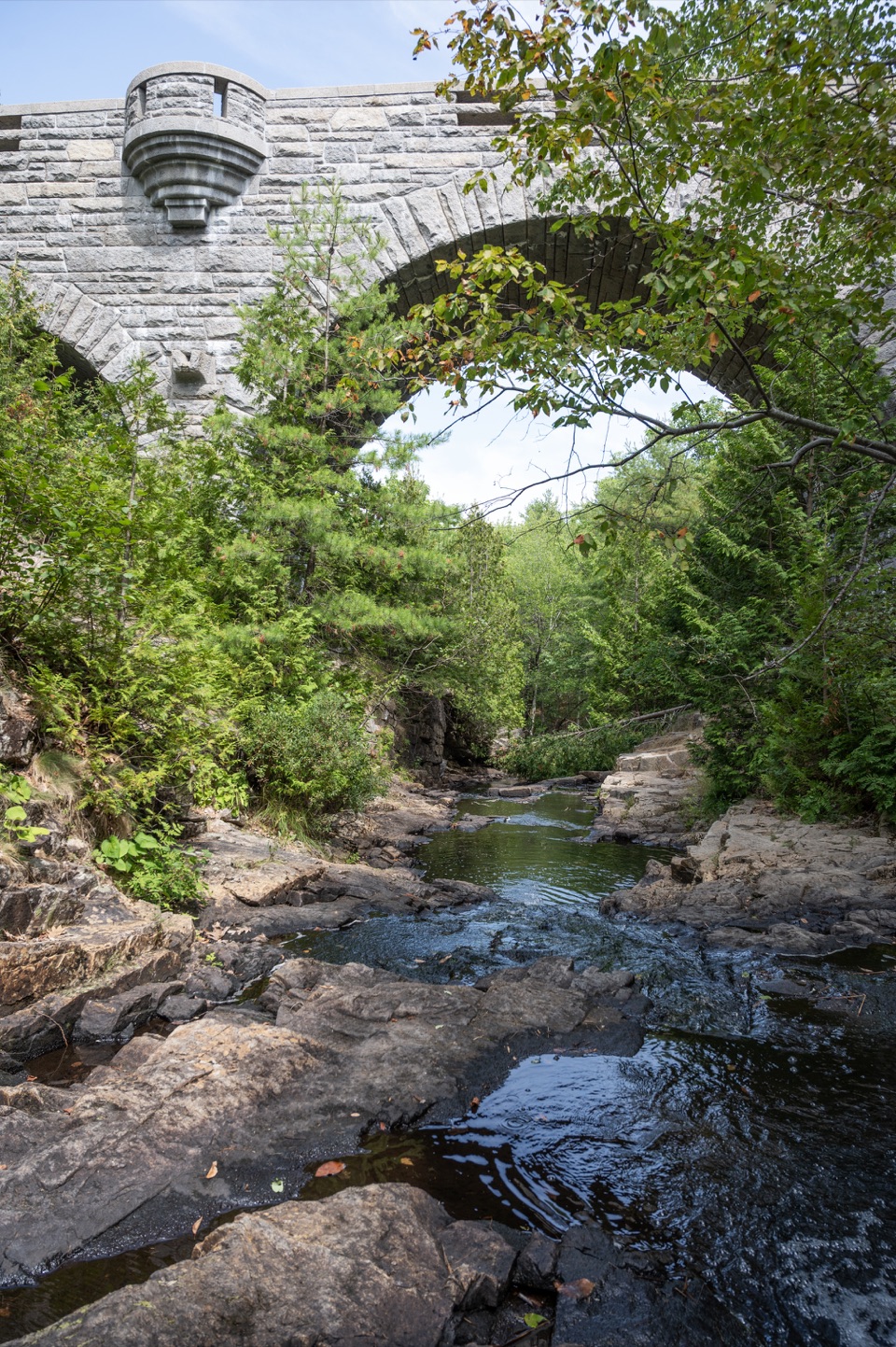 Witch Hole Pond Loop in Acadia National Park