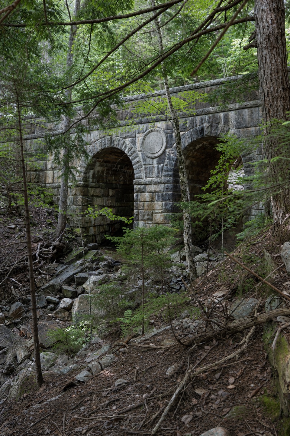 Deer Brook Bridge in Acadia National Park