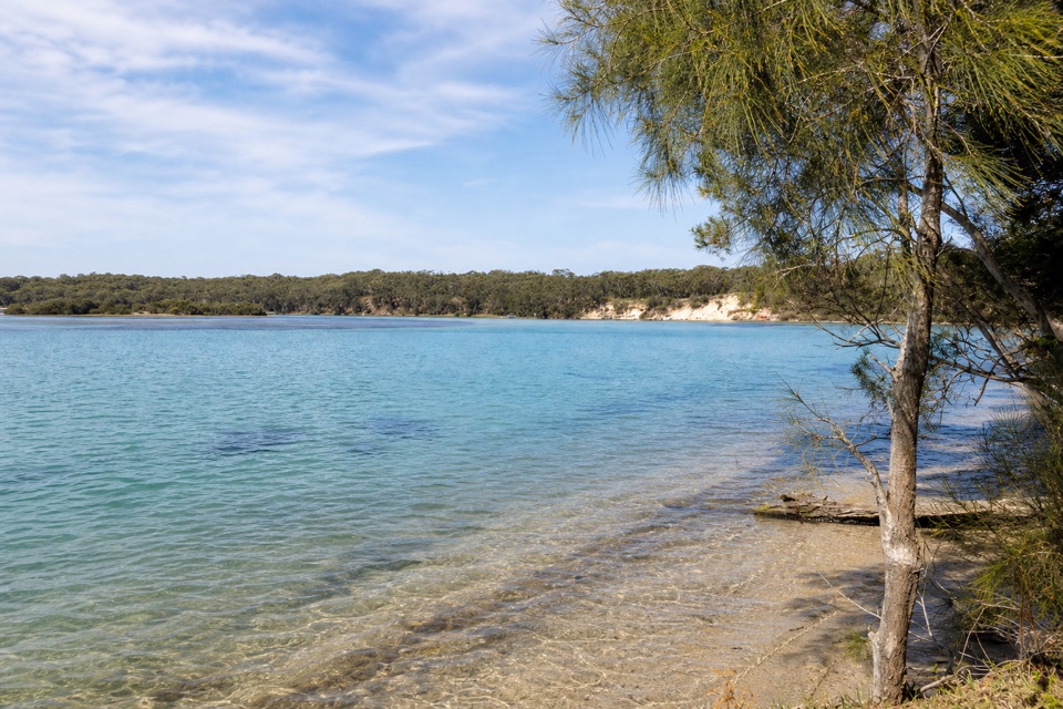 Lone Pine Picnic Area in Booderee National Park
