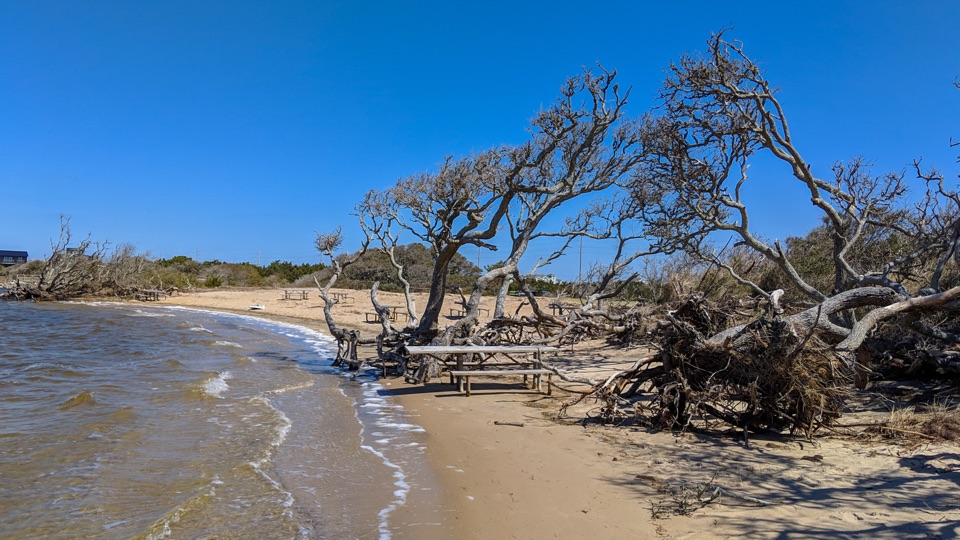 Salvo Day Use Area in Cape Hatteras National Seashore