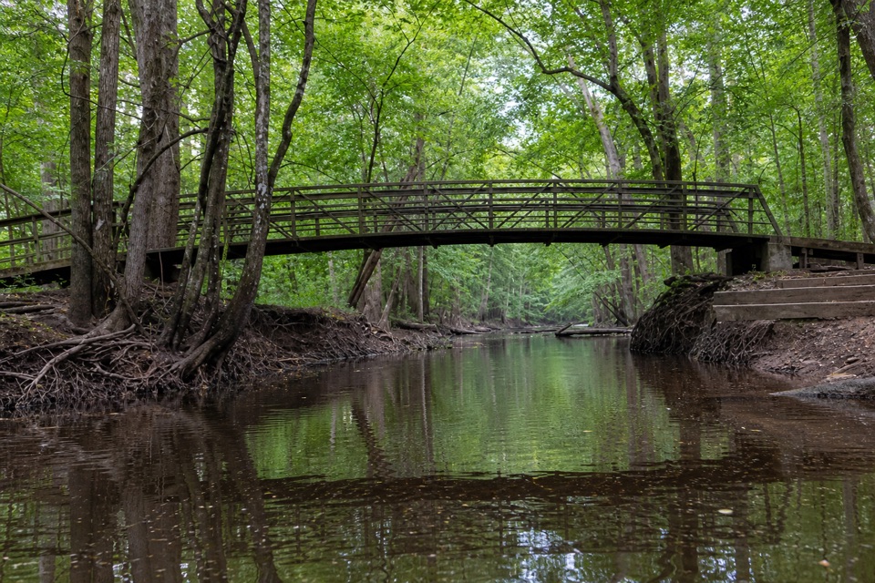 South Cedar Creek Canoe Landing in Congaree National Park
