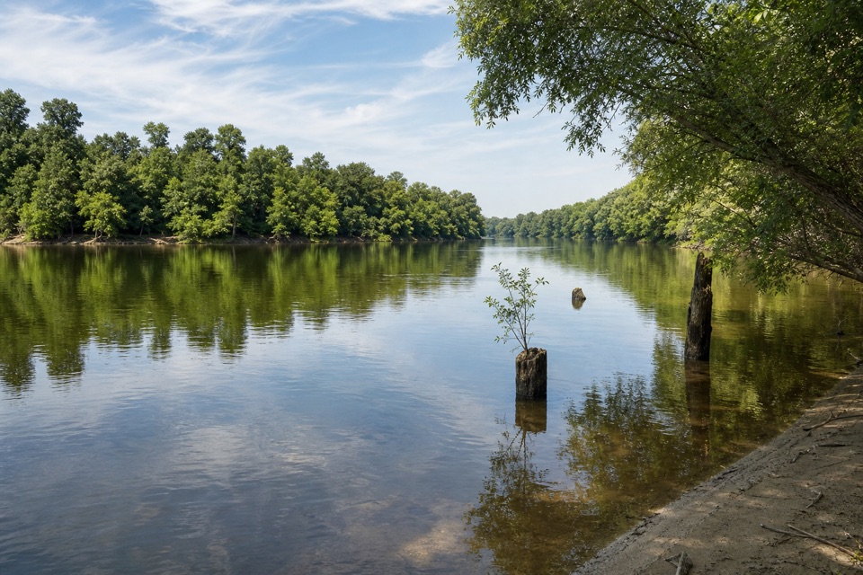 Bates Ferry Landing in Congaree National Park