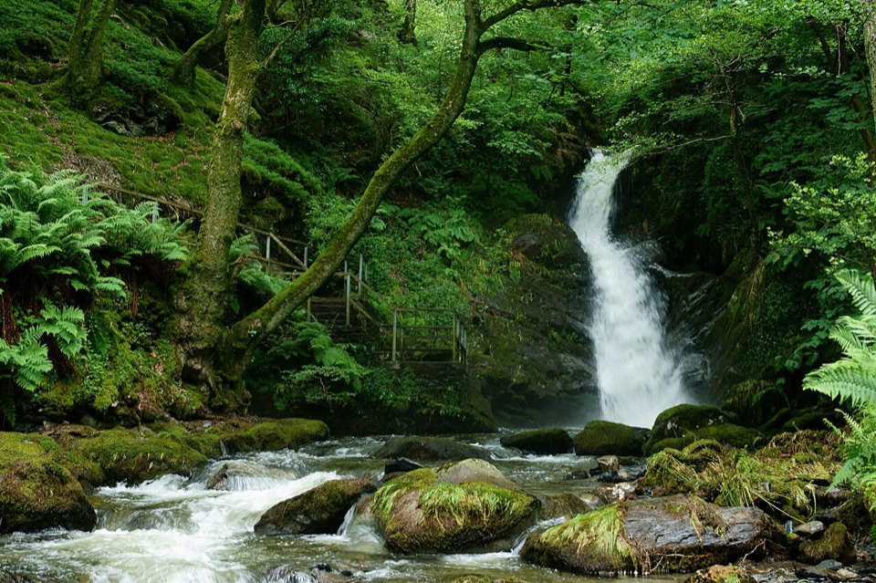 Dolgoch Falls in Eryri National Park