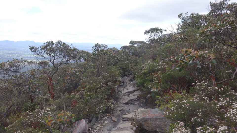 Mount Abrupt (Mud-dadjug) in Grampians National Park