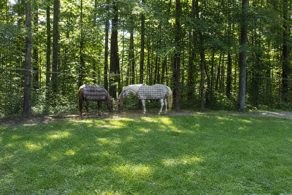 Hocking State Forest Horse Campground in Hocking Hills State Park
