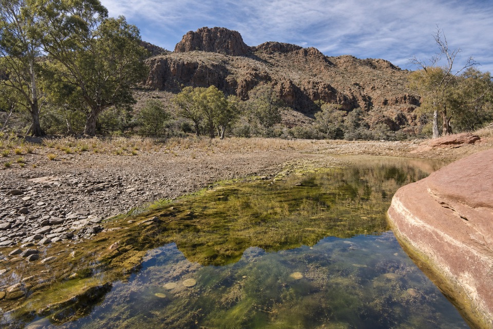 Wilkawillina Gorge in Ikara-Flinders Ranges National Park