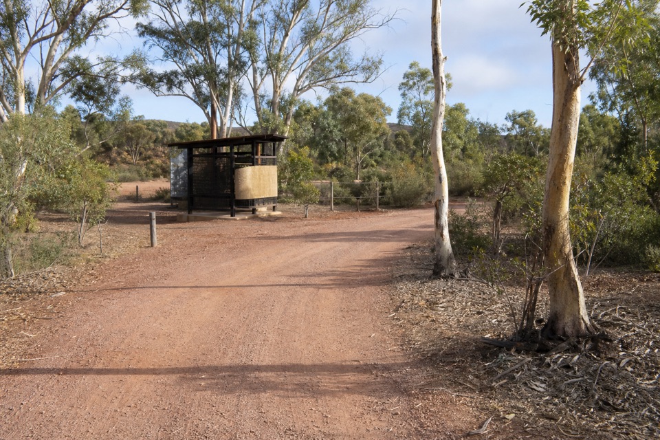 Dingley Dell Campground in Ikara-Flinders Ranges National Park