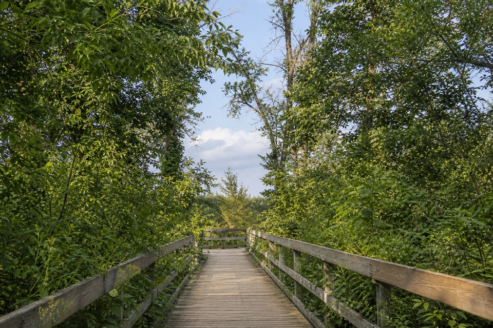 Great Marsh Observation Deck in Indiana Dunes National Park