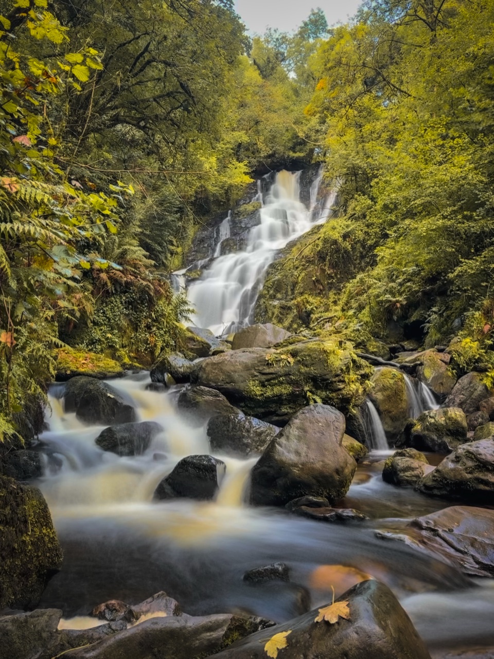 Kerry Way: Killarney to Torc Waterfall in Killarney National Park