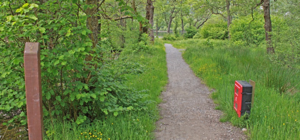 Loch Chon Campsite in Loch Lomond & The Trossachs National Park