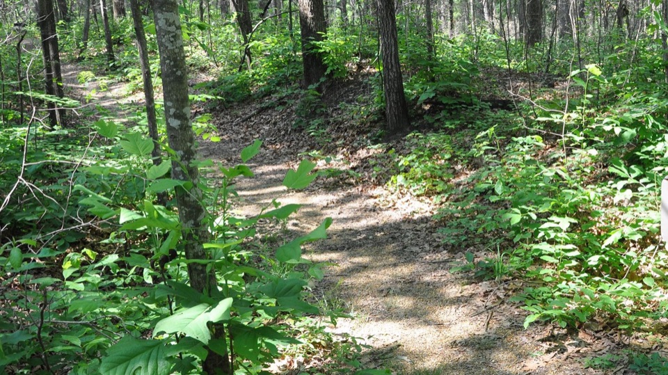 Old Trace and Confederate Gravesites in Natchez Trace Parkway