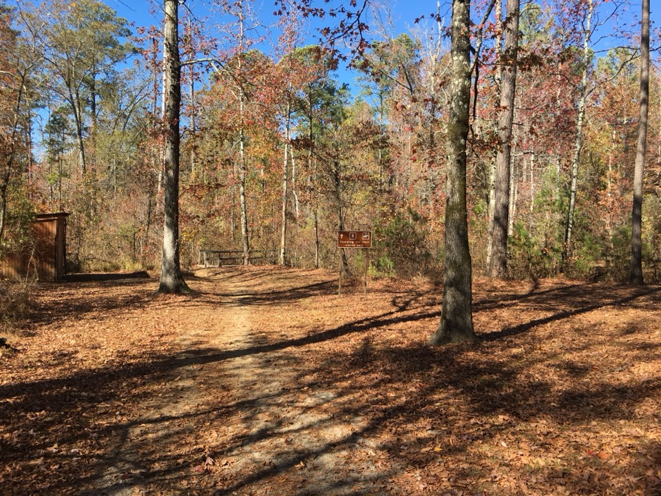 Witch Dance Picnic Area in Natchez Trace Parkway
