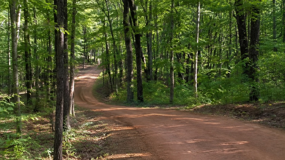 Old Trace Drive in Natchez Trace Parkway