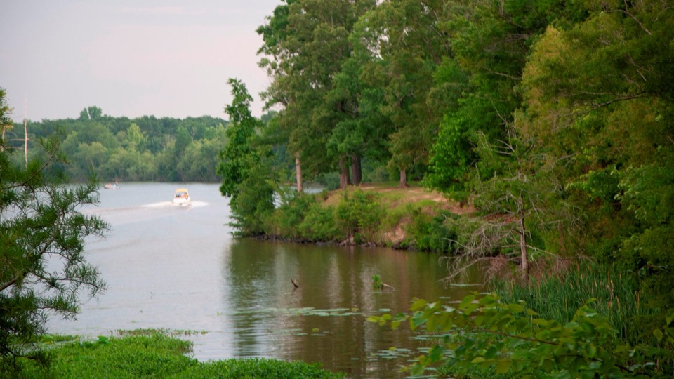 River Bend Picnic Area in Natchez Trace Parkway