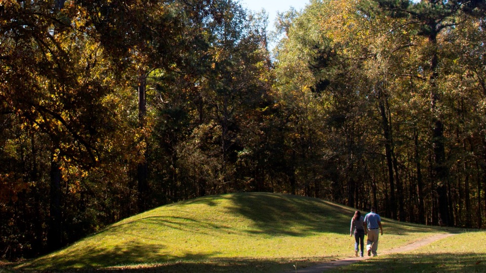 Bynum Mounds in Natchez Trace Parkway