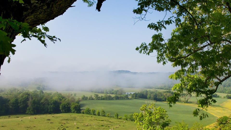 Baker Bluff Overlook in Natchez Trace Parkway