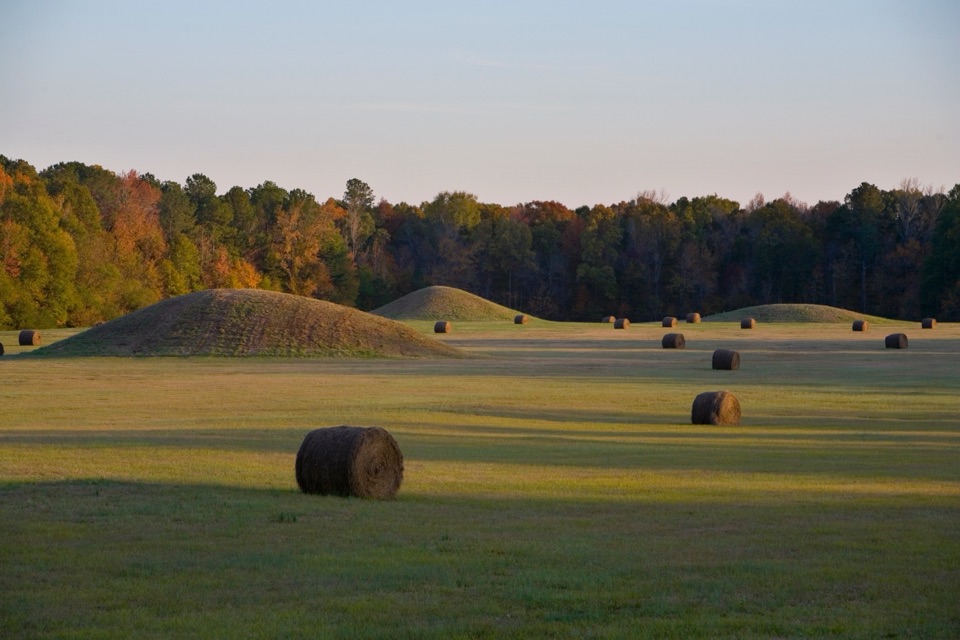 Pharr Mounds in Natchez Trace Parkway