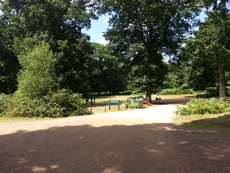 Setthorns Campsite in New Forest National Park