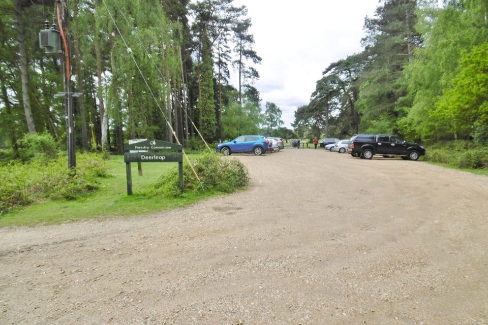 Deerleap Viewpoint in New Forest National Park