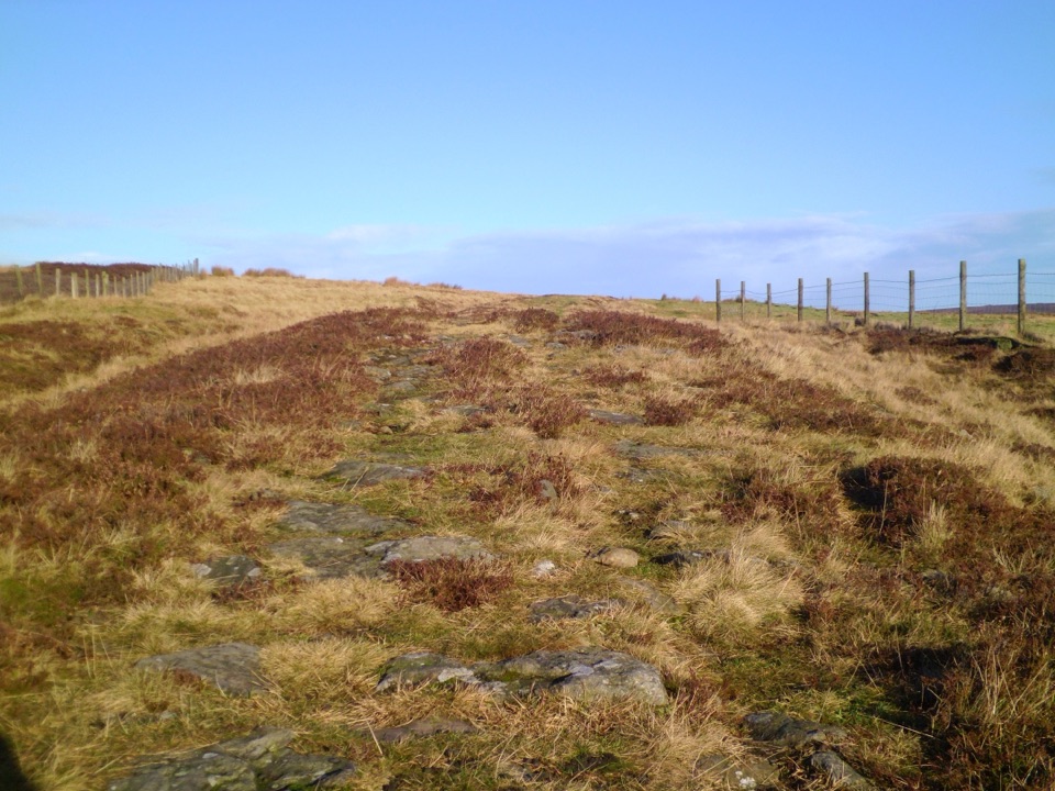 Wheeldale Moor Circular in North York Moors National Park