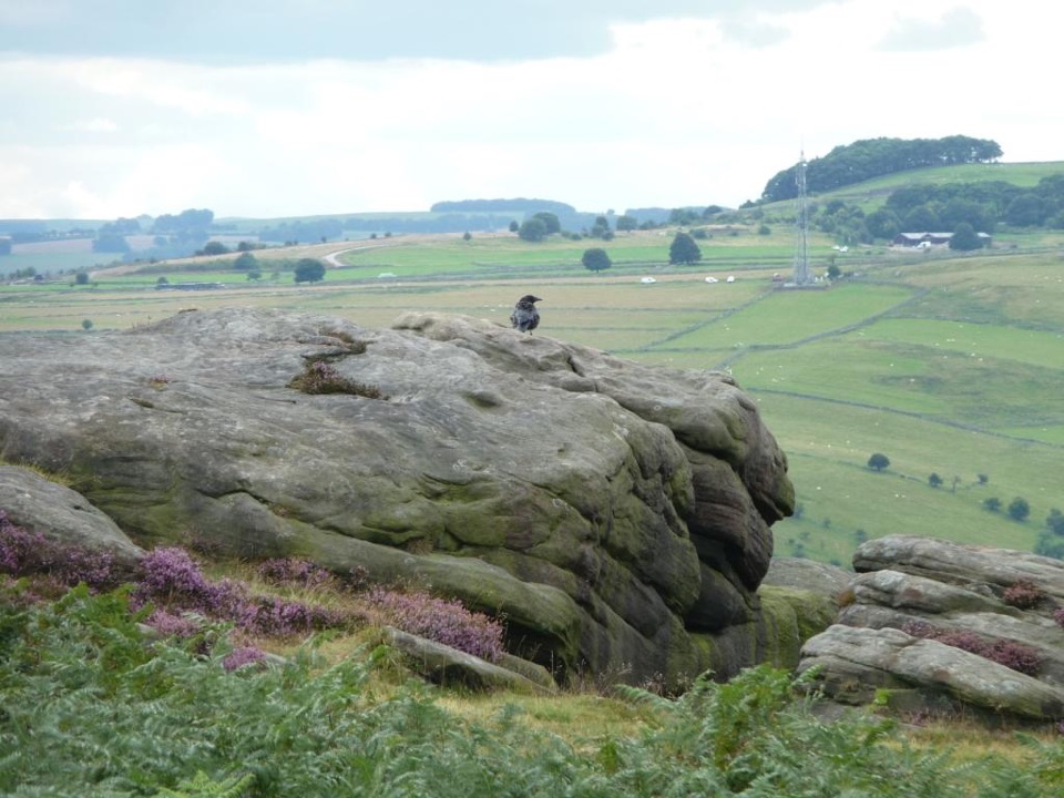 Froggatt Edge in Peak District National Park