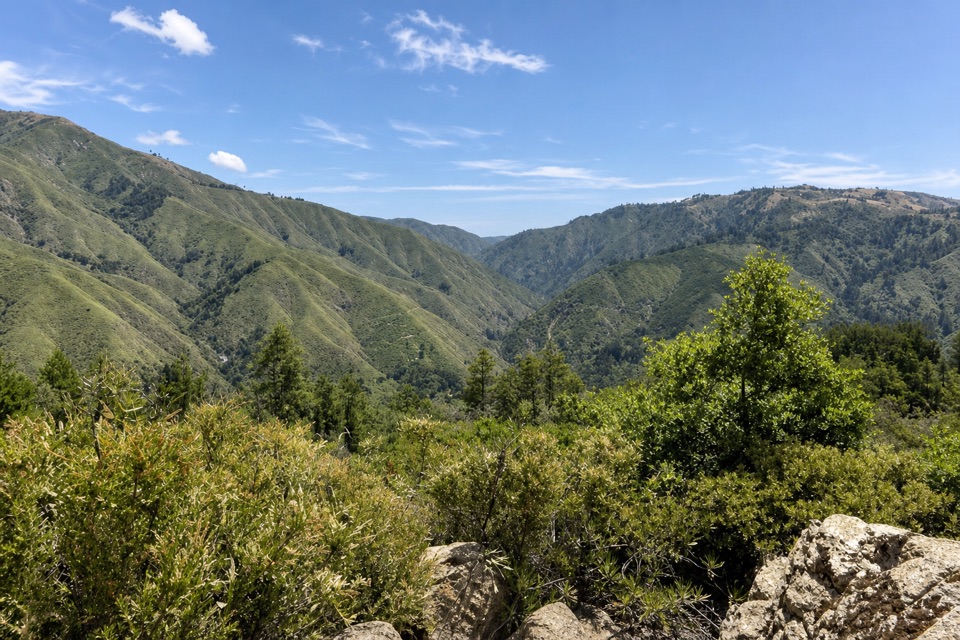 Buzzard's Roost Viewpoint in Pfeiffer Big Sur State Park