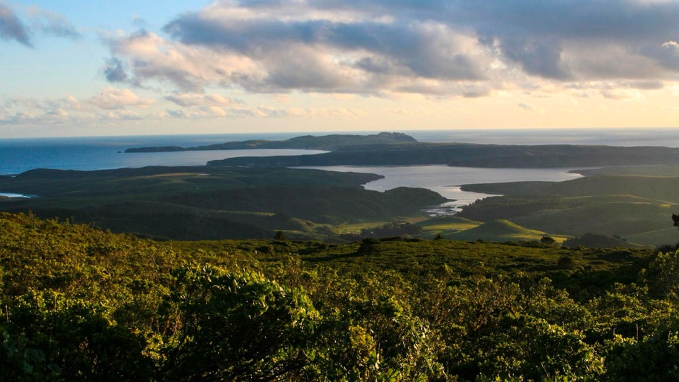 Mount Vision in Point Reyes National Seashore