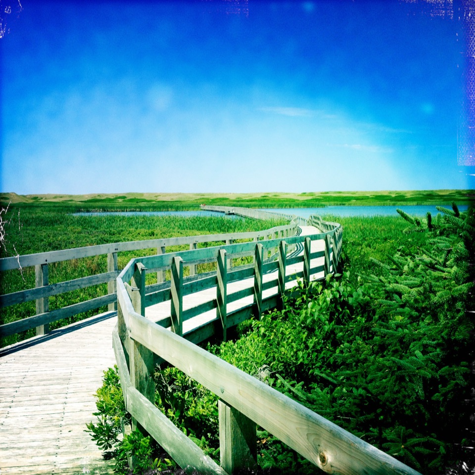 Greenwich Interpretation Centre in Prince Edward Island National Park