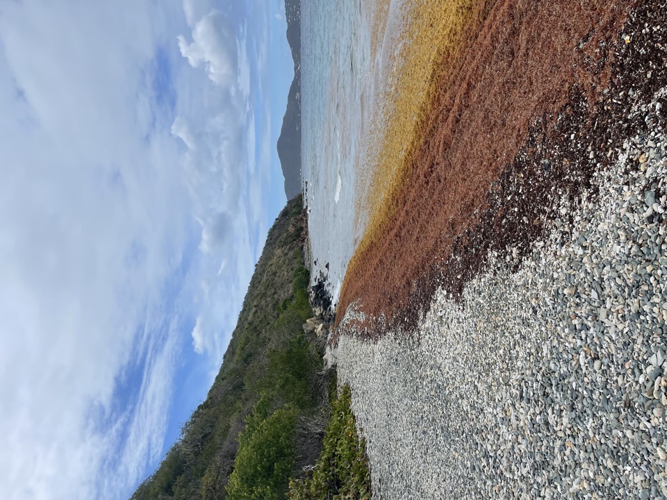 North Haulover Beach in Virgin Islands National Park